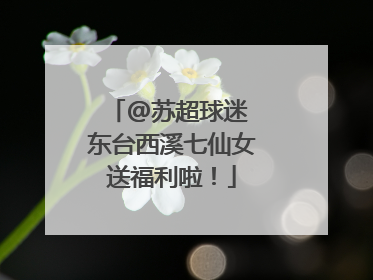 @苏超球迷 东台西溪七仙女送福利啦！